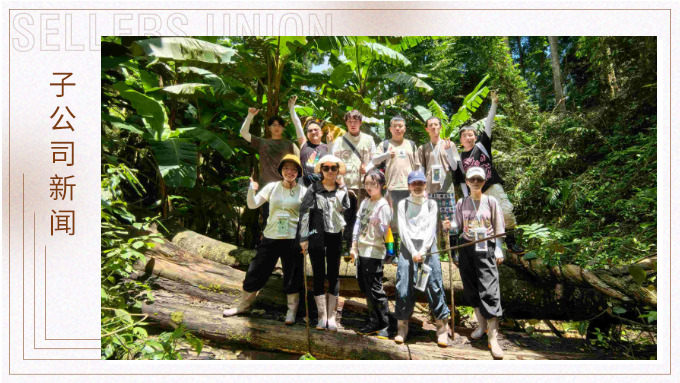 探雨林秘境，與森林同呼吸——記優景公司年中西雙版納團建旅游